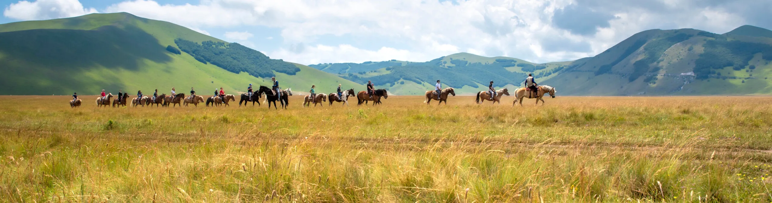 Trekking a cavallo nelle colline marchigiane