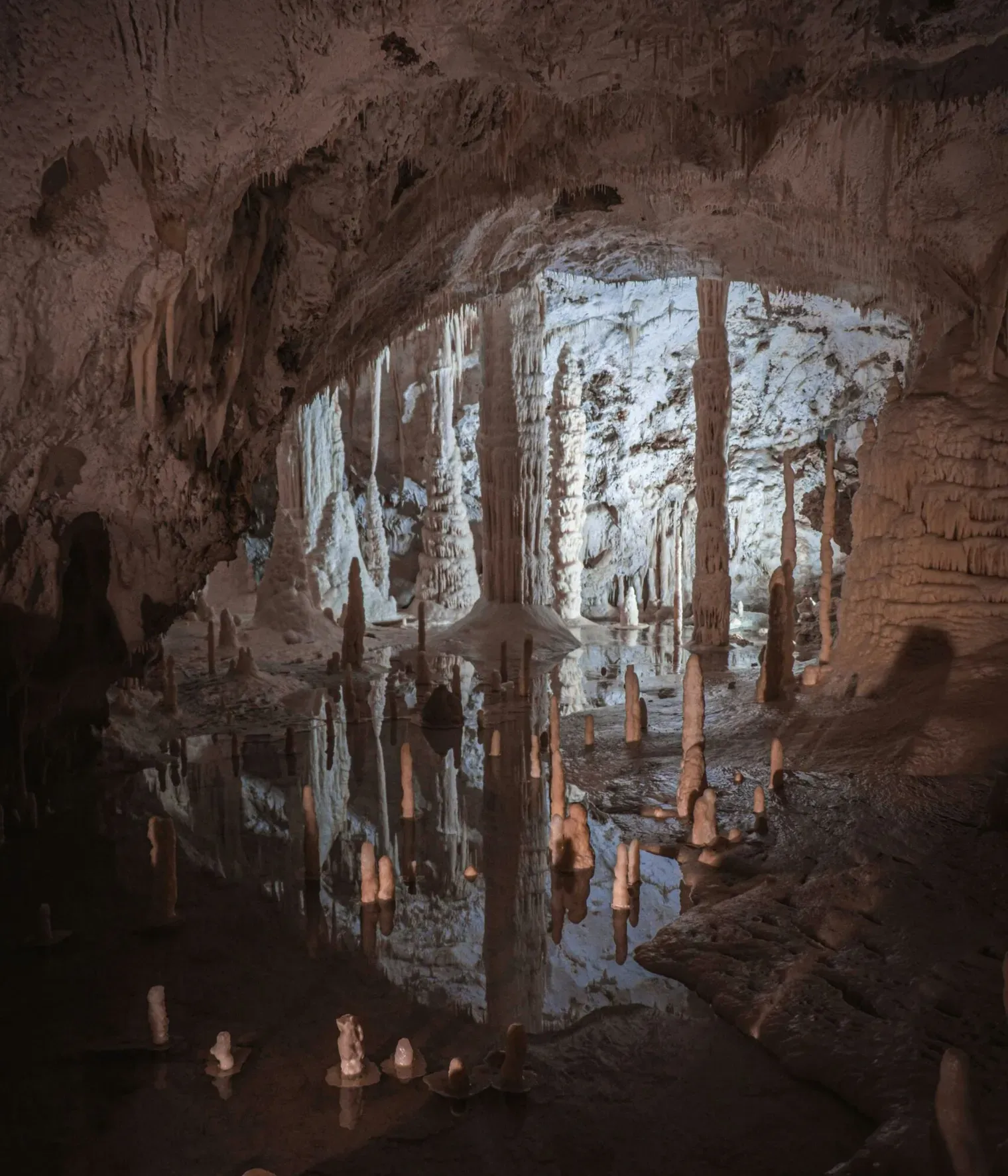 Francesco ungaro QO6ns A N5 DI unsplash