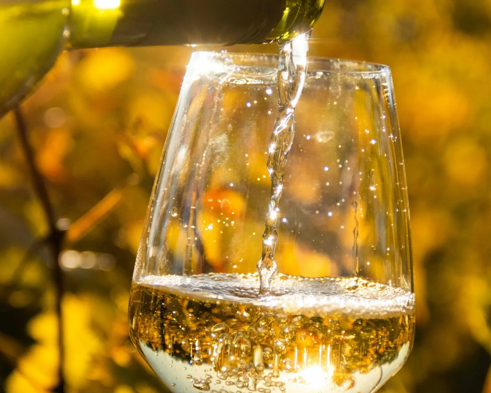 Wine tasting