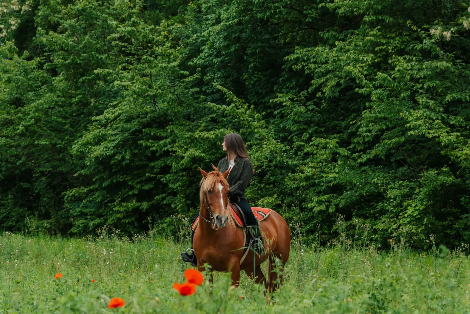 Horseback riding