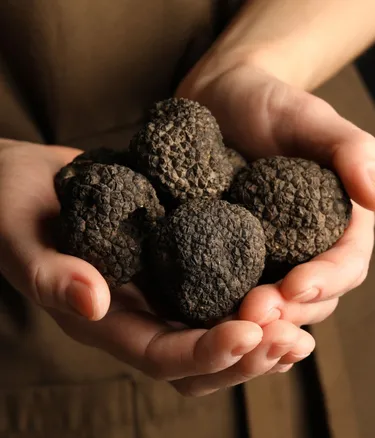 Shutterstock 2107311005