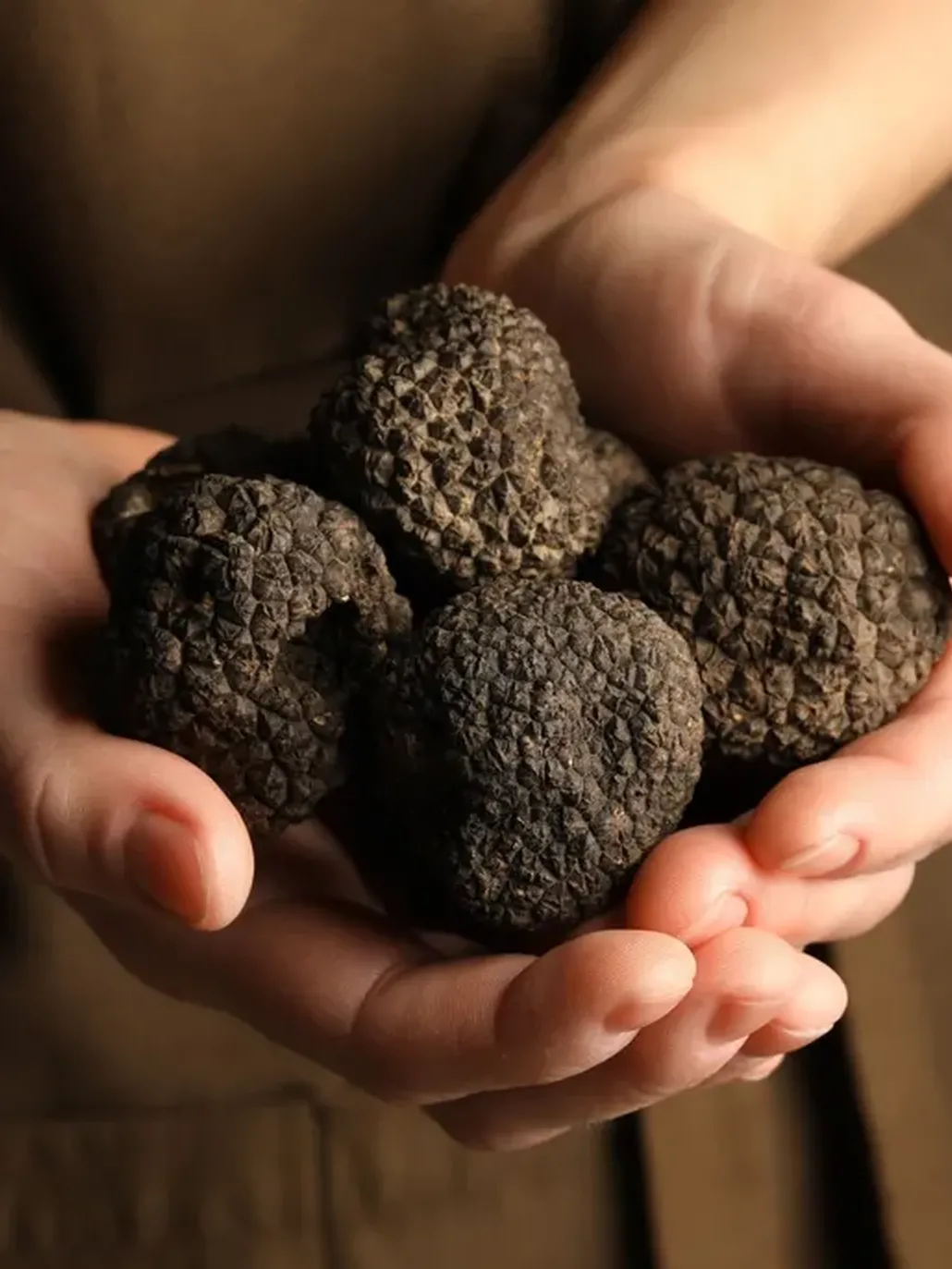 Shutterstock 2107311005