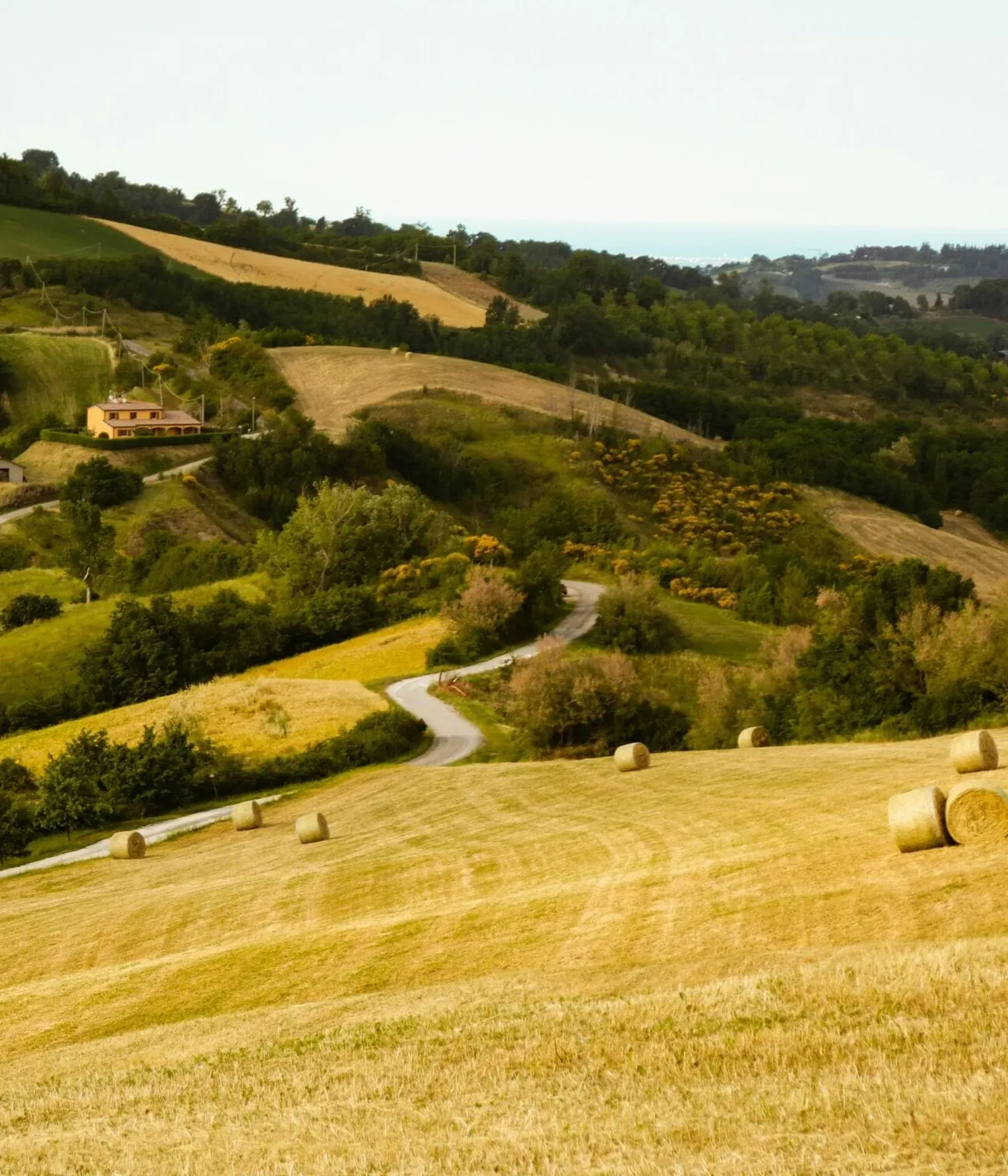 An italian field with bales of hay - Germano tarricone unsplash